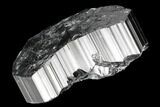 Terminated Black Tourmaline (Schorl) Crystal - Madagascar #174125-1